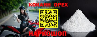 apvp Можга