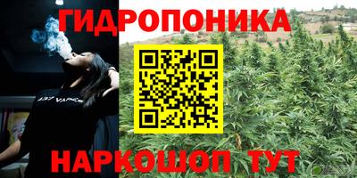 apvp Можга