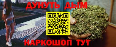 сатива Моздок