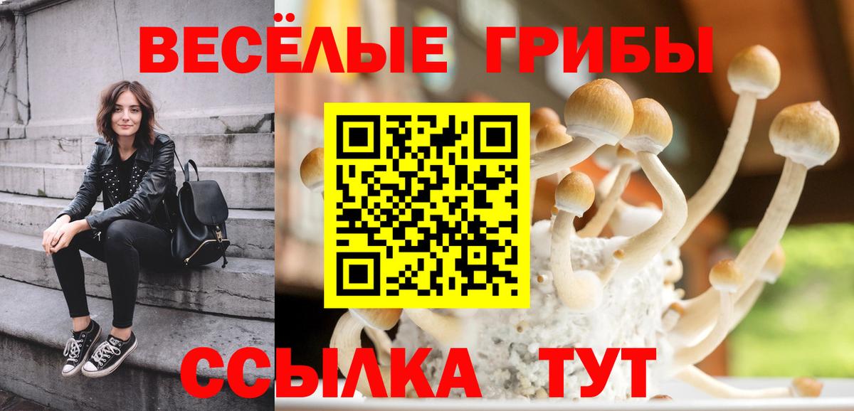 Галлюциногенные грибы GOLDEN TEACHER Скопин